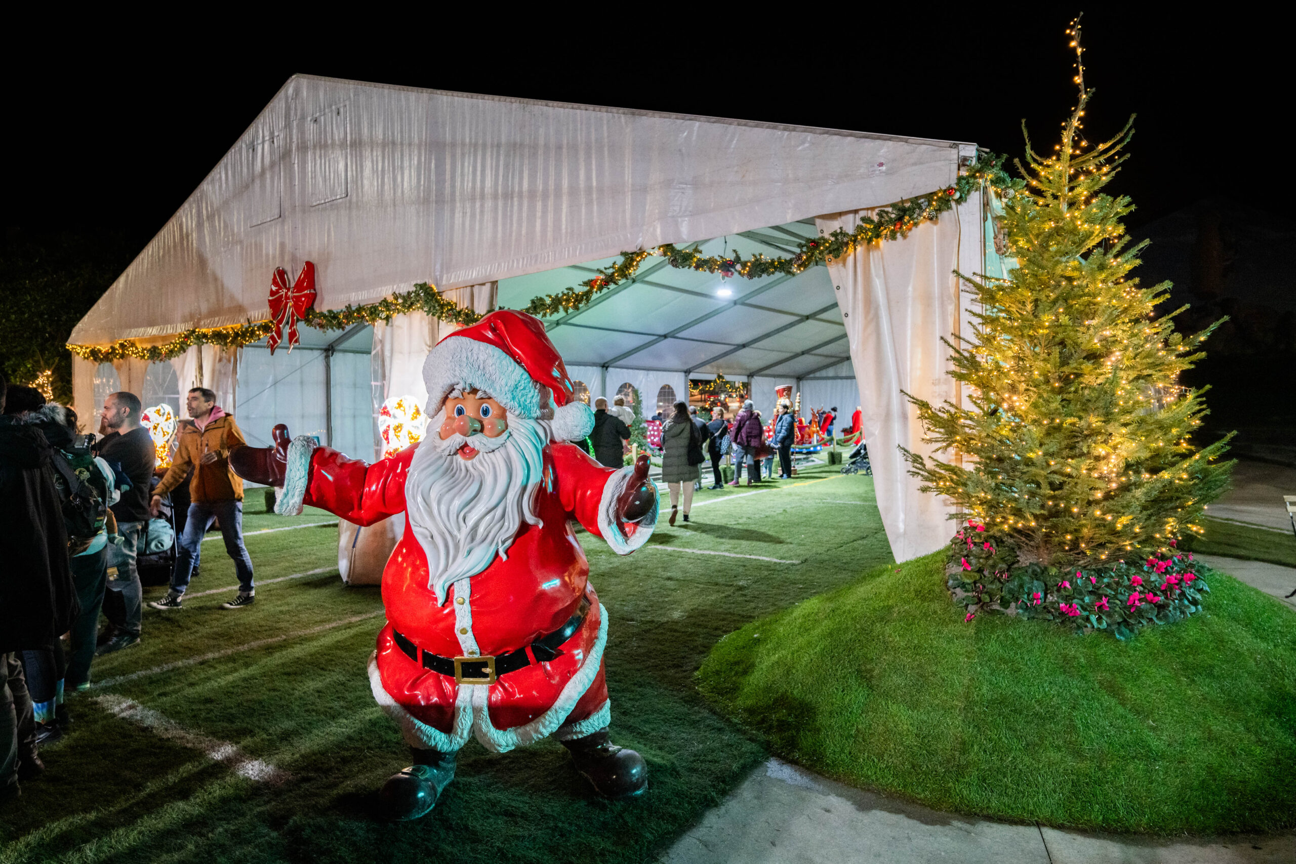 20241205 – Luces Nadal – 015