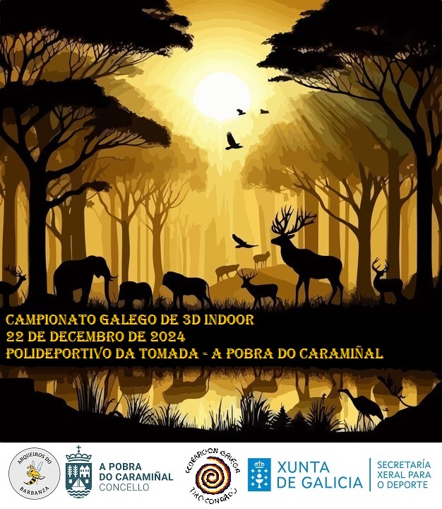 Cartel do Campionato Galego de 3D Indoor 2024