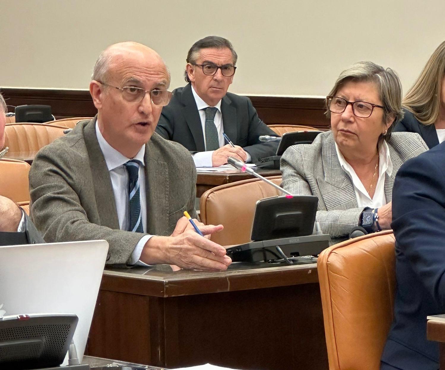 Celso Delgado en la Comisión de Transportes del Congreso