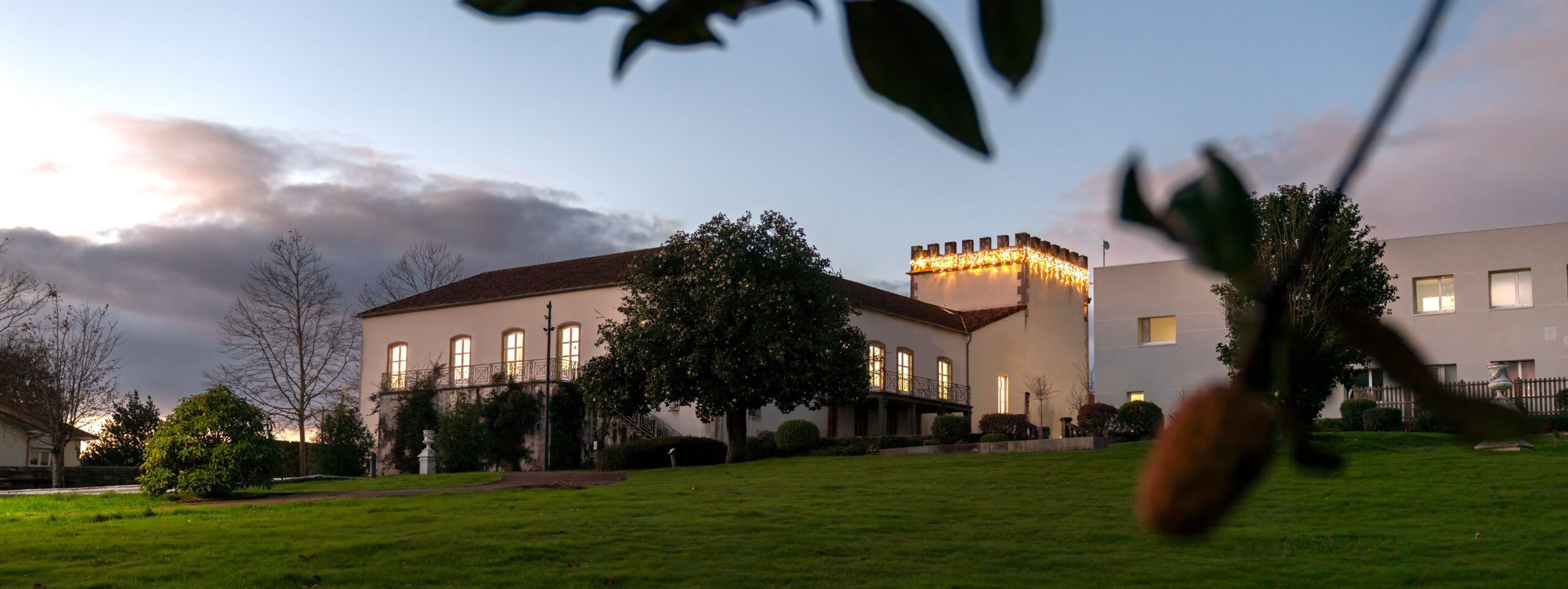 _DSC6825_3000x1128_H_100_Original ratio