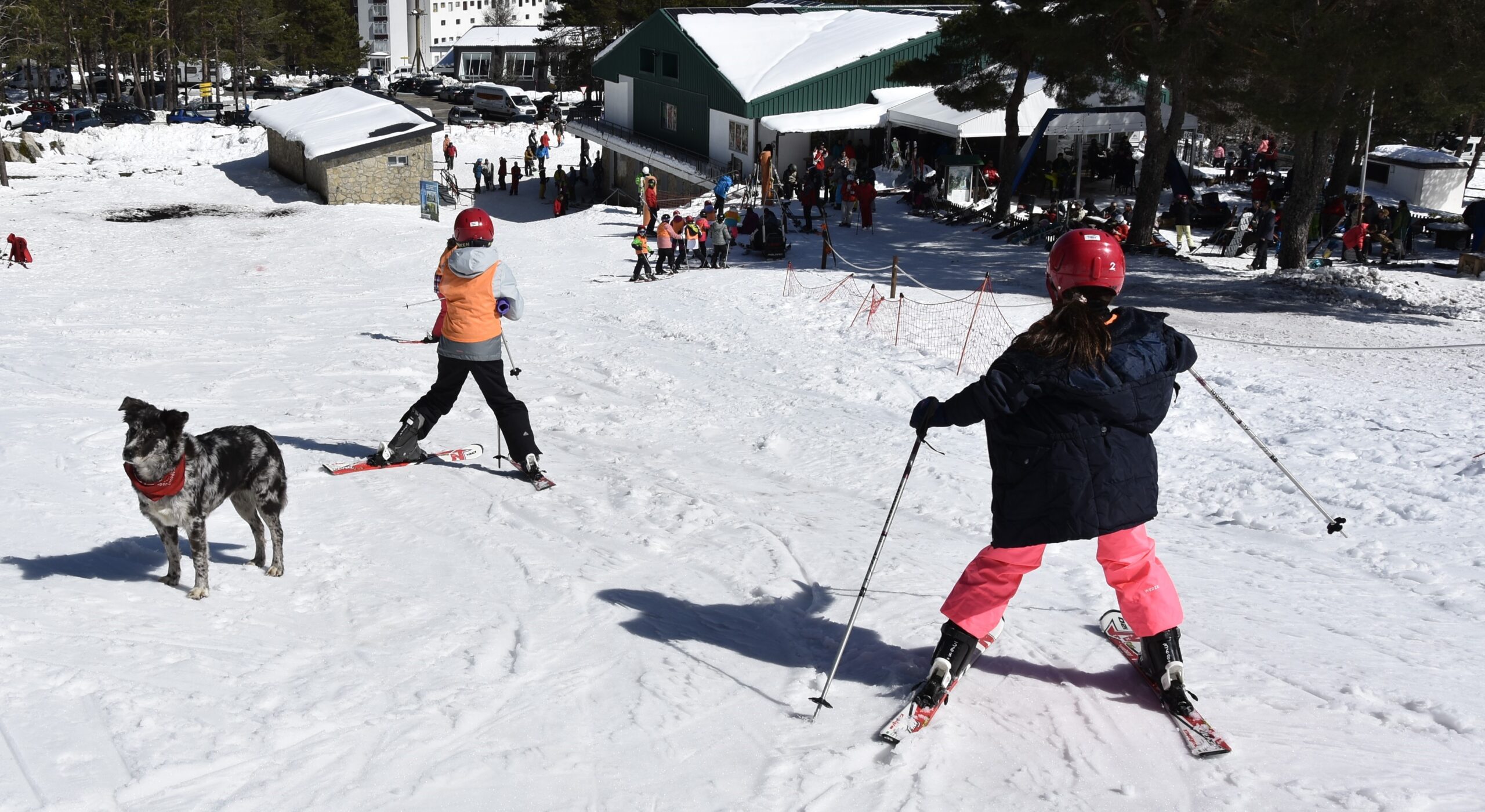 Nenos no EsquiOU do ano anterior