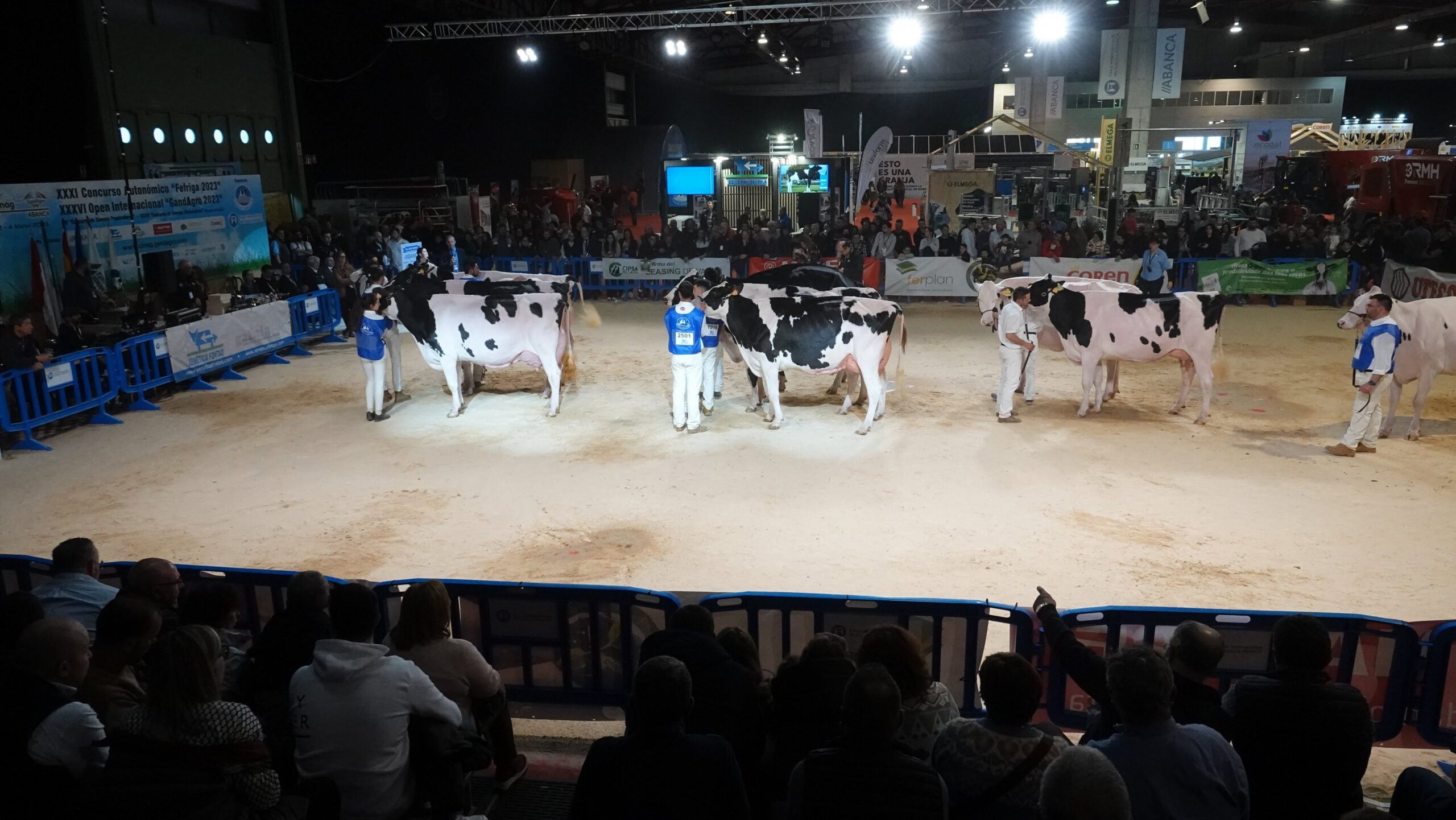 Vista Concursos Frisón en Abanca Cimag-GandAgro 2023