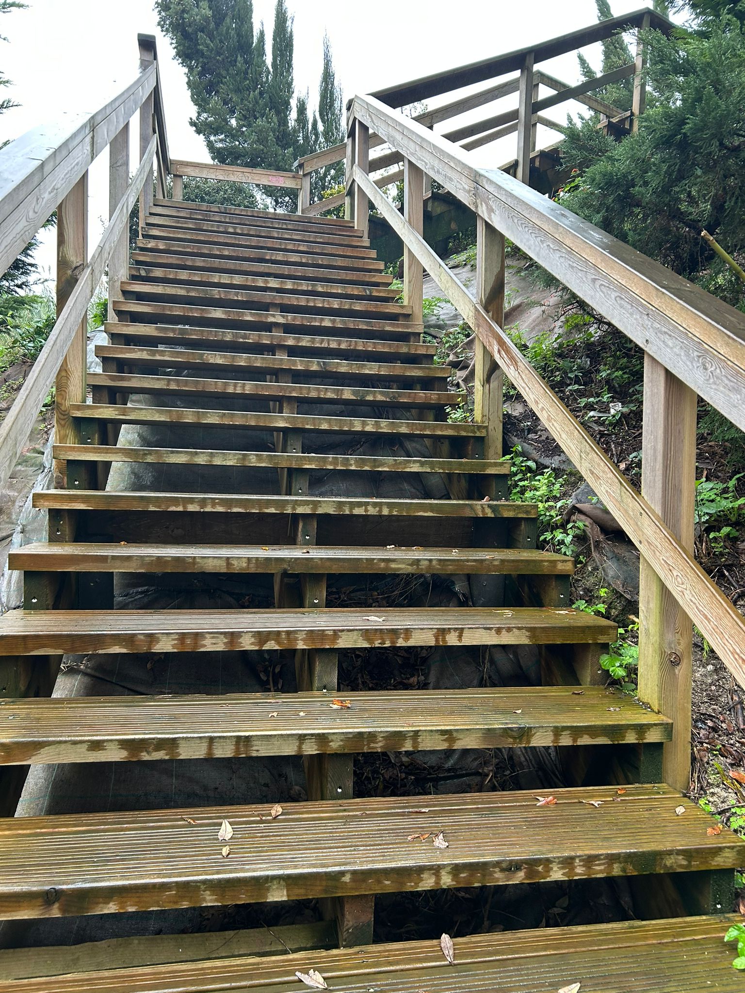 WhatsApp Image 2024-12-05 at 19.51.21