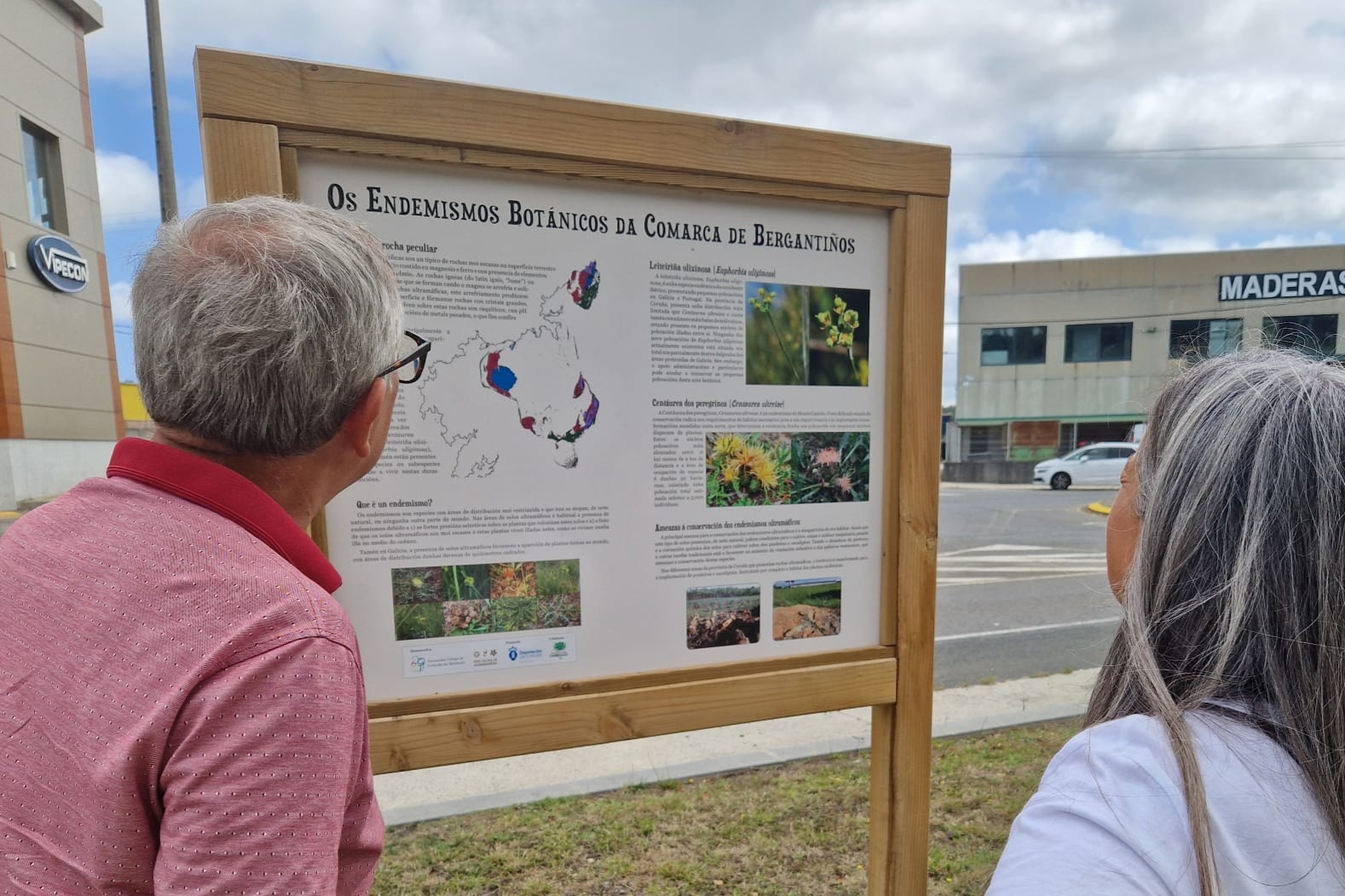 cartel_euphorbia_uliginosa