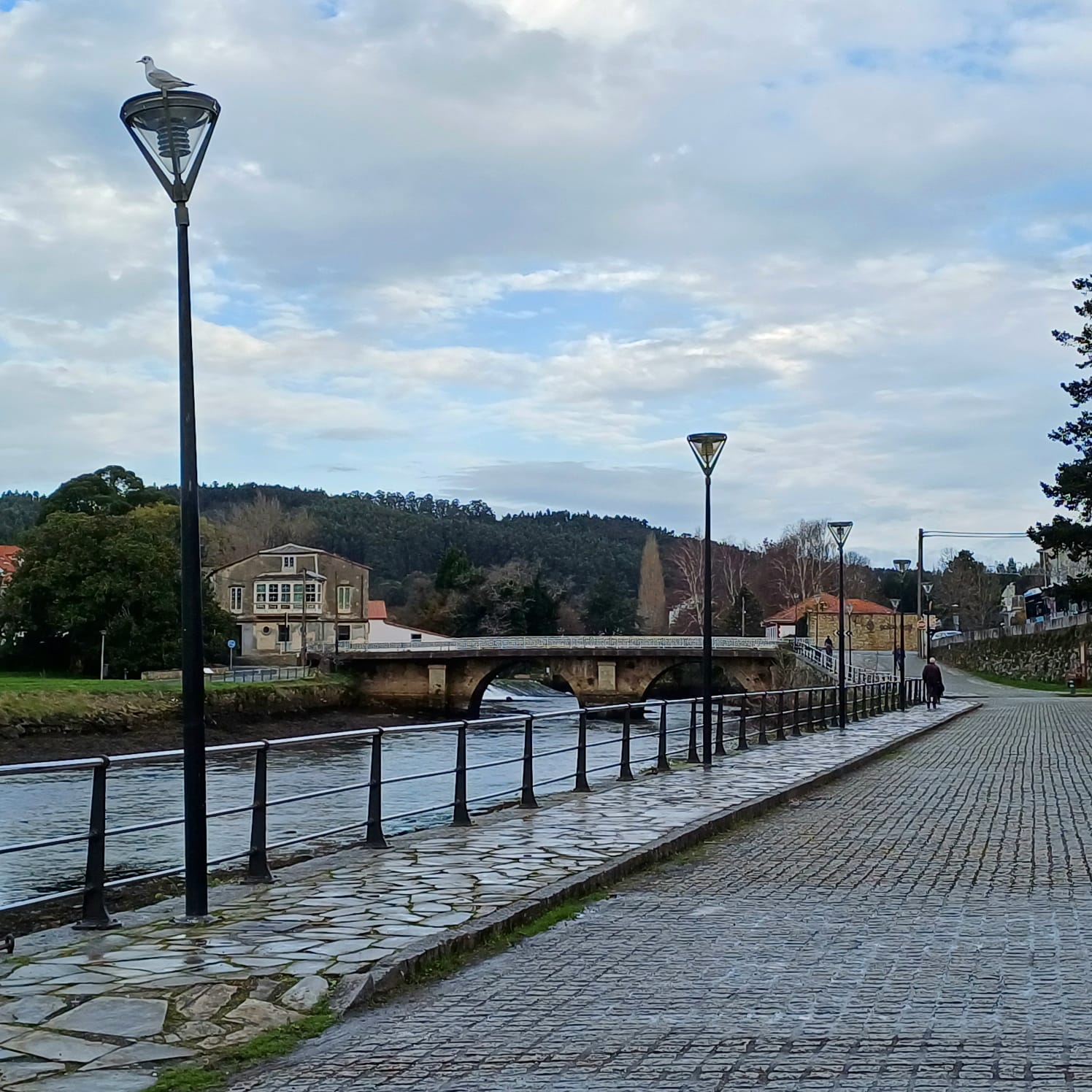 foto luminarias paseo (1)