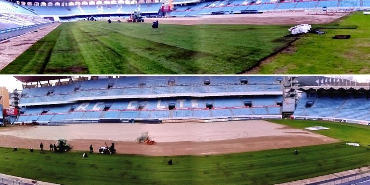 Balaídos comienza a cubrirse con el nuevo césped