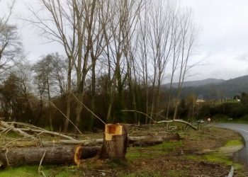 Fin de ano de motoserra longa en Mos