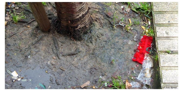 Despojos de una bacanal