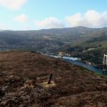 banco tasmanho 33 bajo3