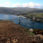 banco tasmanho 37 bajo2