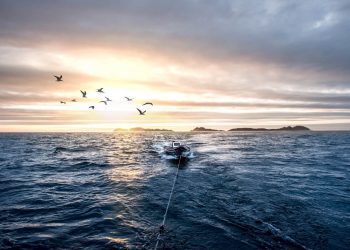 Las Cíes, a través del objetivo de Instagram