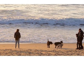 Samil para disfrutar en enero