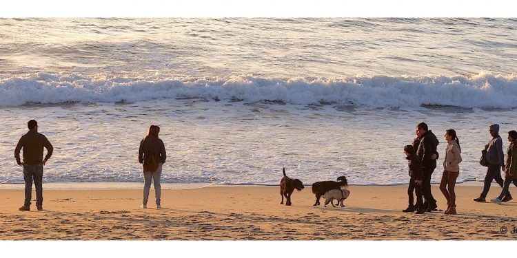 Samil para disfrutar en enero