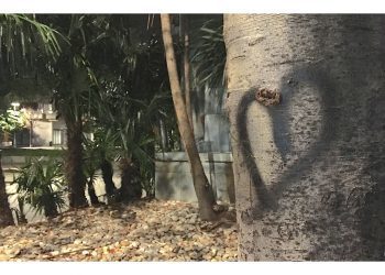 Cosas del amor eterno