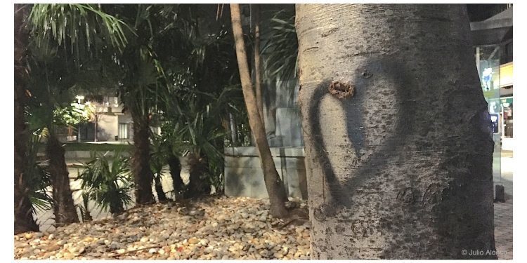 Cosas del amor eterno