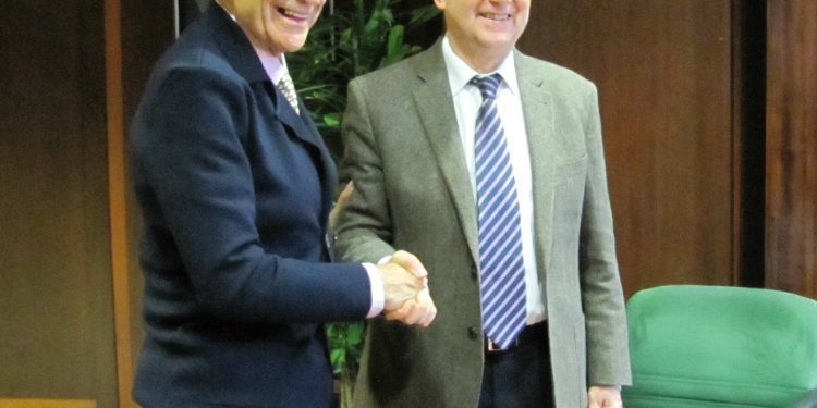 Balaídos tendrá césped nuevo en siete días