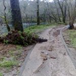 sedateariada 131 Copy