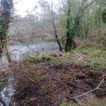 sedateariada 140 Copy