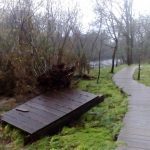 sedateariada 160 Copy