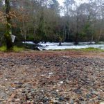 sedateariada 188 Copy