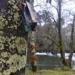 sedateariada 189 Copy