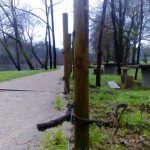 sedateariada 31 Copy