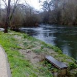 sedateariada 46 Copy