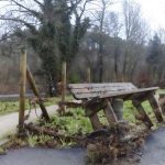 sedateariada 50 Copy