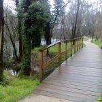 sedateariada 63 Copy