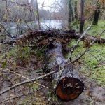 sedateariada 66 Copy