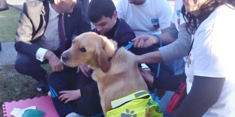 Feijóo destaca el trabajo de Aldeas Infantiles el día que descubre sus instalaciones