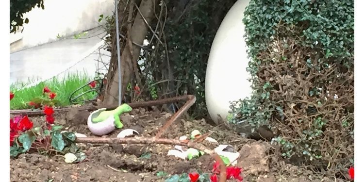 Los huevos del Dinoseto eclosionan