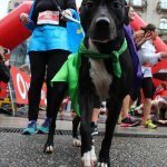 carreira entroido 106 Copy