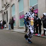 carreira entroido 286 Copy