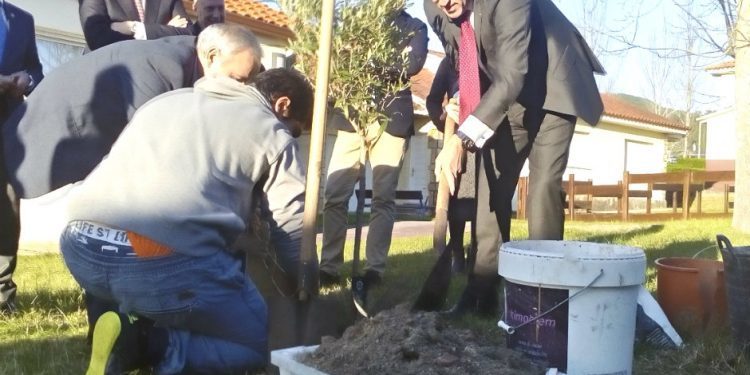 Clases de plantar un árbol por Alberto Núñez Feijóo