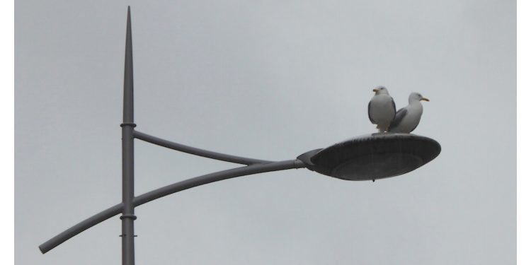 Soportando la lluvia