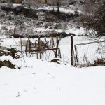 nieve a canhiza 10 Copy