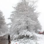 nieve a canhiza 13 Copy