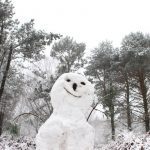 nieve a canhiza 18 Copy