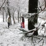 nieve a canhiza 5 Copy