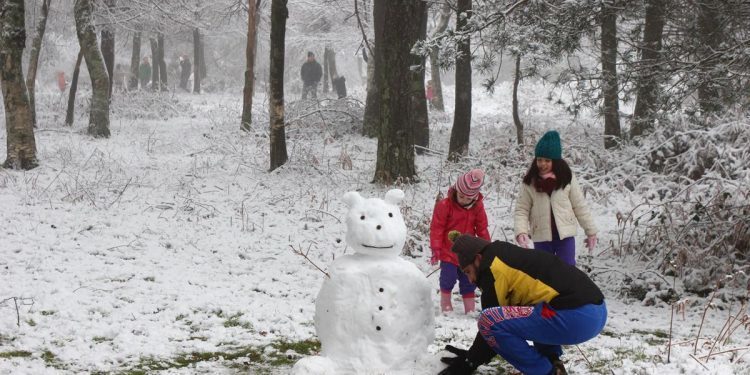 nieve a canhiza 7 Copy