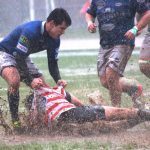 vigoeselection 2 Copy