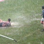 vigoeselection 3 Copy