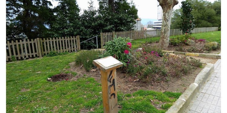 El robo de un camelio