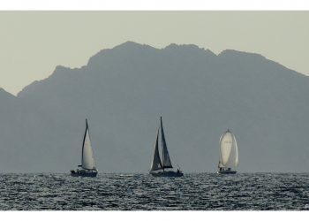 Amantes de la mar picada