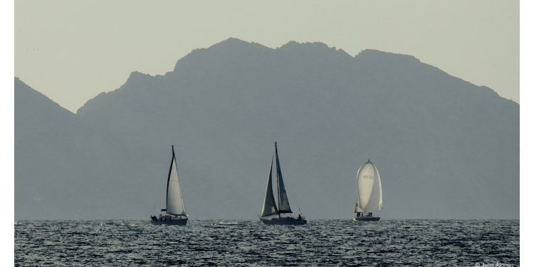 Amantes de la mar picada