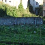 barrio do cura 277 Copy