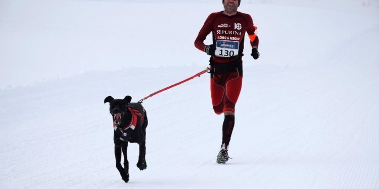 Alejandro Gómez gana el Campeonato de España de mushing nieve