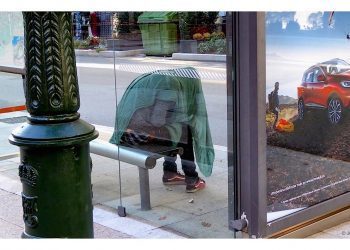 Maneras de disfrutar