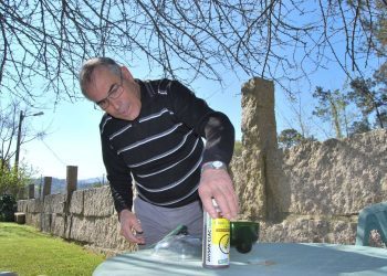 Nigrán coloca trampas contra a avespa asiática